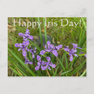 Happy Iris Day! Postcard