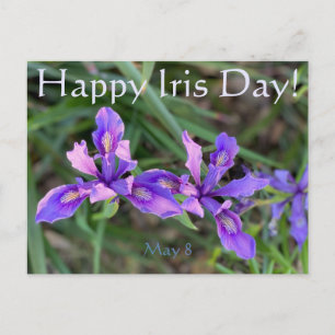 Happy Iris Day! Postcard
