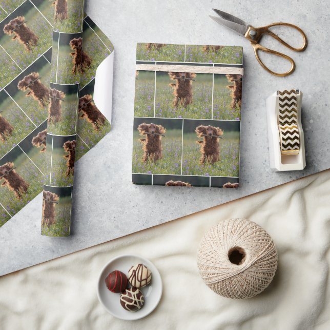 Happy Irish Setter Running With a Stick Wrapping Paper (Crafts)
