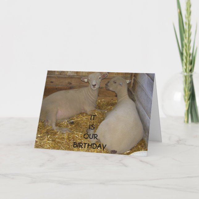 HAPPY IT IS "OUR" BIRTHDAY CARD (Front)