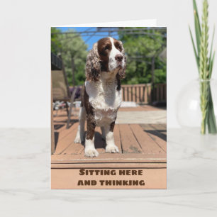 HAPPY ***JANUARY*** BIRTHDAY TO YOU! CARD