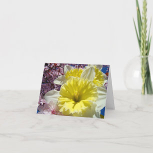 Happy Joyful Cheery Spring Days! Cards Daffodils