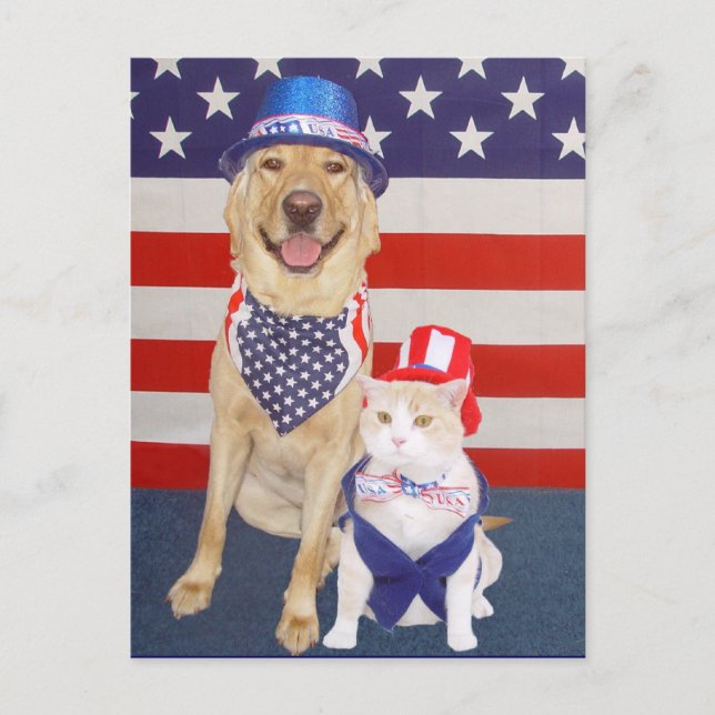 Happy July 4th! Postcard (Front)