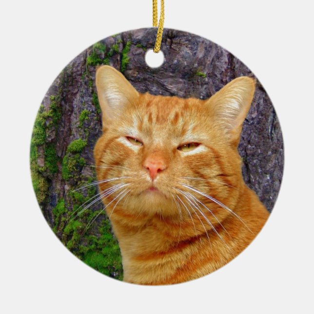 Happy Kitty Kat! Ceramic Tree Decoration (Front)