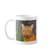 Happy Kitty Kat!