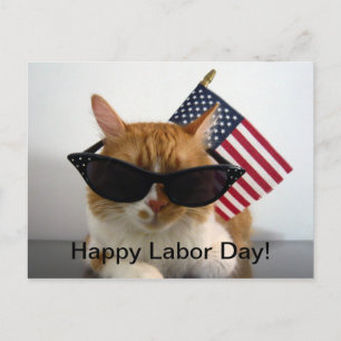 Happy Labour Day Cool Cat with Flag Postcard