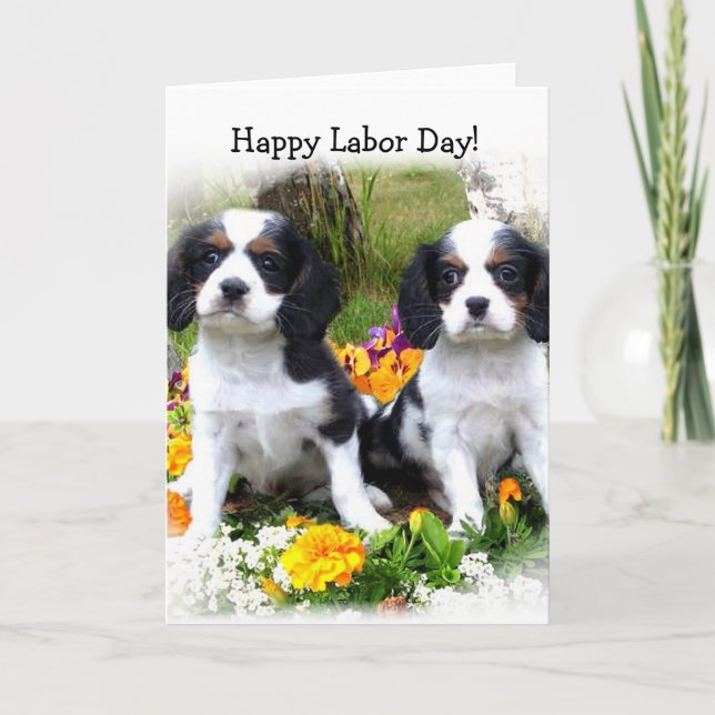 Happy Labour day King Charles Spaniel puppies card (Front)