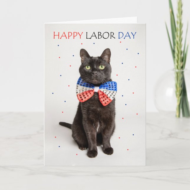 Happy Labour Day Patriotic Cat in Bow Tie Humour  Holiday Card (Front)