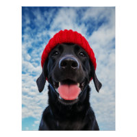 Happy Labrador in a Red Beanie Under a Blue Sky