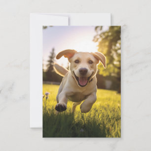 Happy Labrador Puppy Running  Announcement