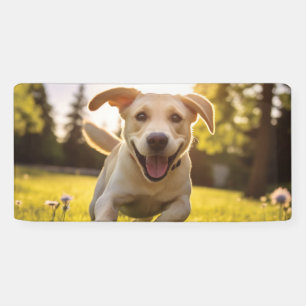 Happy Labrador Puppy Running  Banner