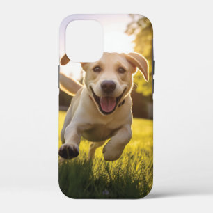 Happy Labrador Puppy Running iPhone 12 Mini Case