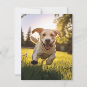 Happy Labrador Puppy Running Thank You Card