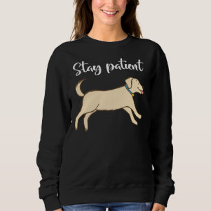 Happy Labrador Retriever Stay Patient Sweatshirt
