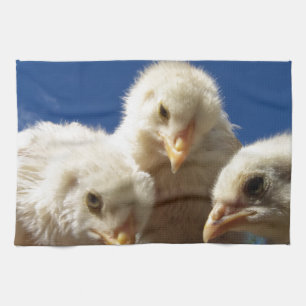 happy little chicken chick tea towel