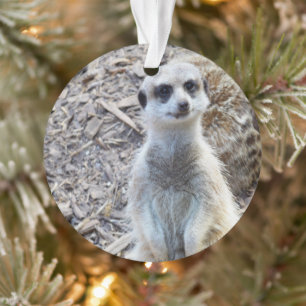 Happy Little Meerkat, Ornament