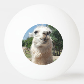 Happy Llama ping pong ball