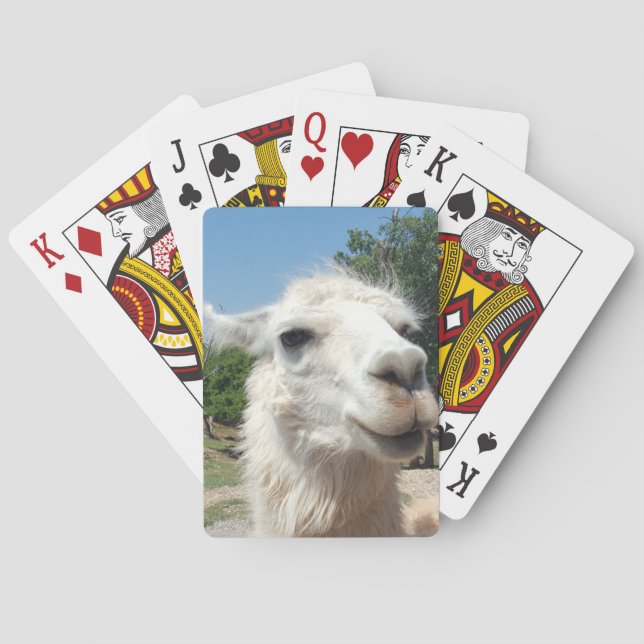 Happy llama playing cards (Back)