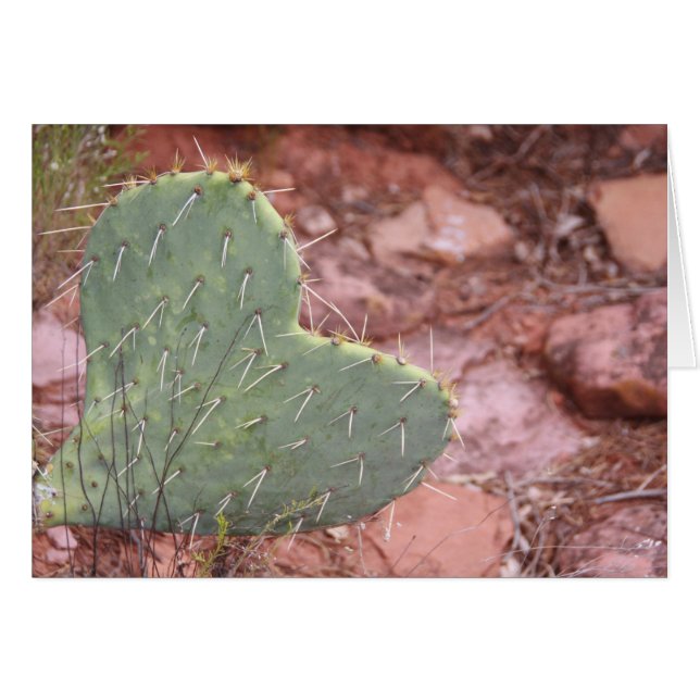 Happy Love (Front Horizontal)