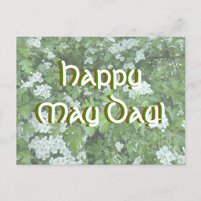Happy May Day Postcard with Hawthorn Bloom (Front)