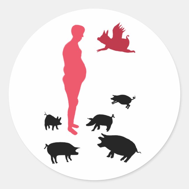 Happy Meal Vegeterian Sticker The Farm (Front)