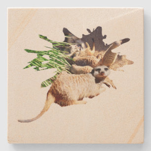 Happy Meerkat With Pups, Stone Coaster