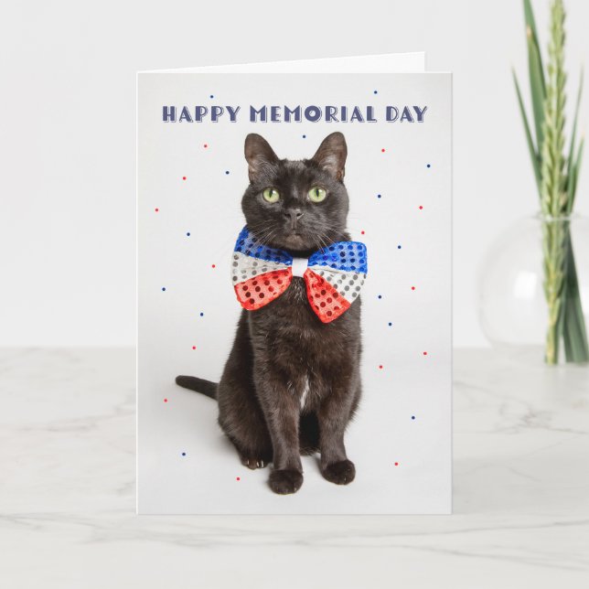 Happy Memorial Day Cute Patriotic Cat in Bow Tie Holiday Card (Front)