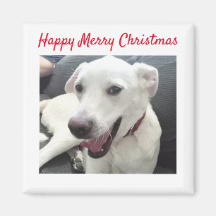 Happy Merry Christmas Funny Smiling Dog Holiday Magnet