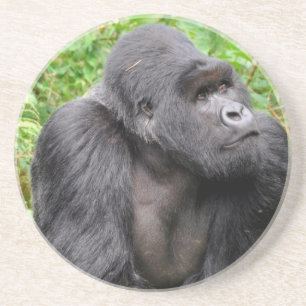 Happy Monkey Coaster