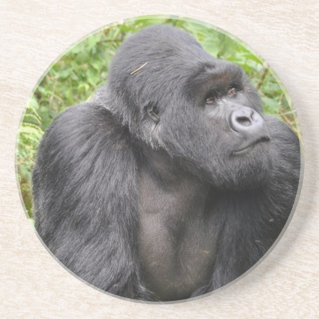 Happy Monkey Coaster (Front)