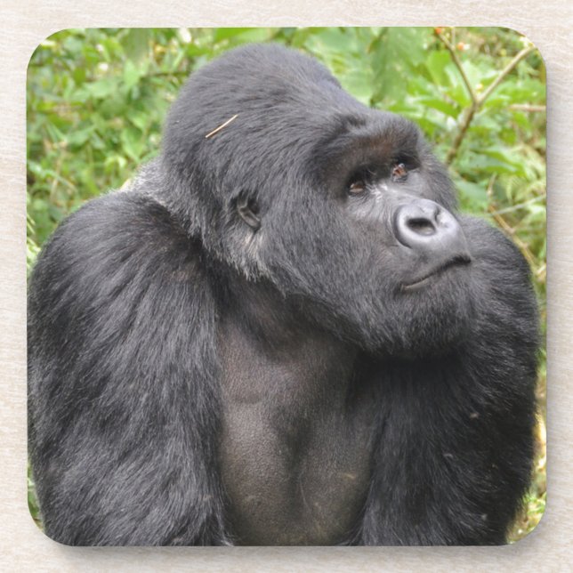 Happy Monkey Coaster (Front)