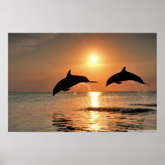 Happy Morning Wall Poster