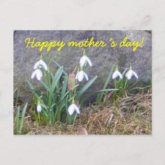 Happy mother´s day! postcard