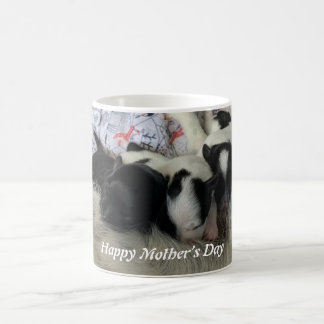 Happy Mother’s Day Zoey and Babies Coffee Mug