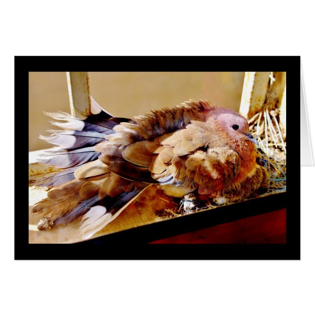 Happy Mother's Day! (Front Horizontal)