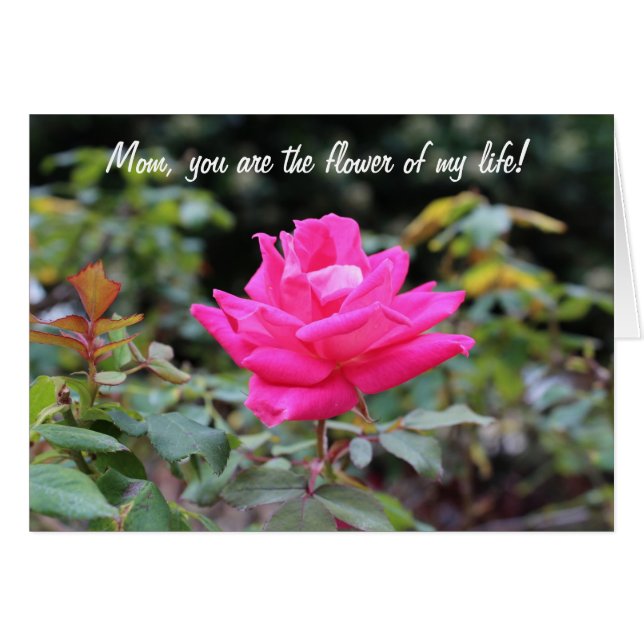 Happy mother's day (Front Horizontal)