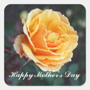 Happy Mother's Day About Face Rose #3 Stickers