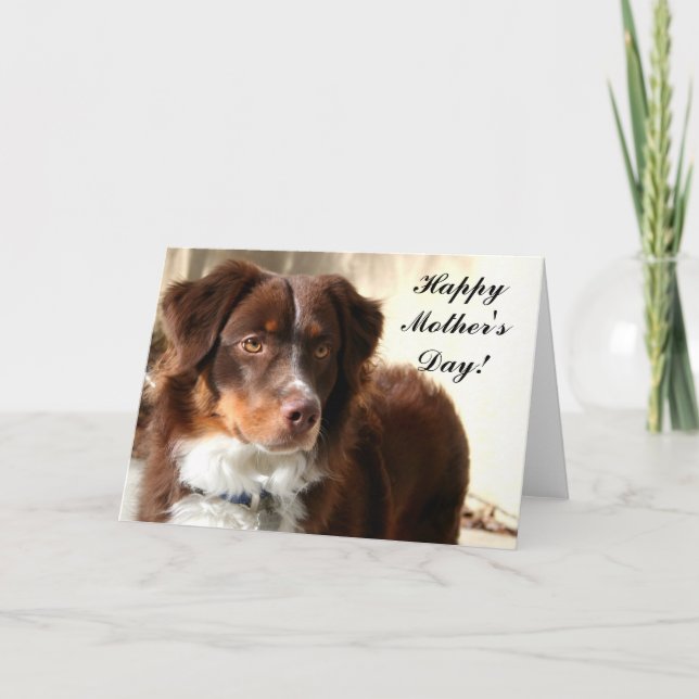 Happy Mother's Day Aussie greeting card (Front)