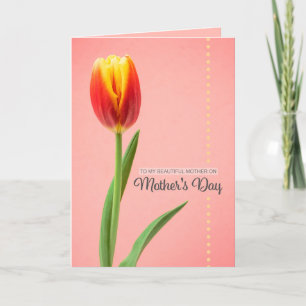 Happy Mothers Day Beautiful Mother Tulip on Pink Holiday Card
