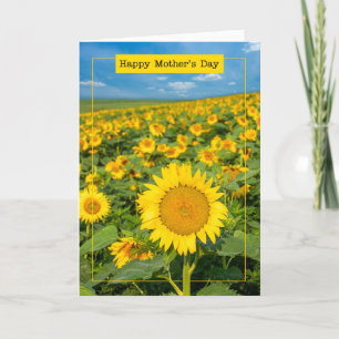 Happy Mothers Day Beautiful Sunflower Field Holiday Card