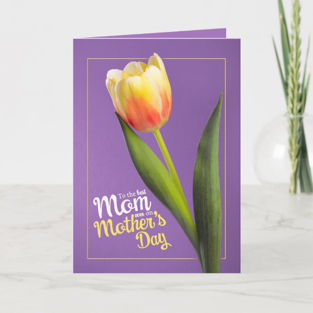 Happy Mothers Day Beautiful Yellow Tulip on Purple Holiday Card (Front)