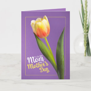 Happy Mothers Day Beautiful Yellow Tulip on Purple Holiday Card