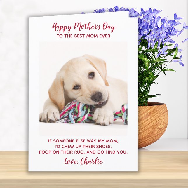 Happy Mothers Day Best Mum Ever Pet Dog Photo Holiday Card (Creator Uploaded)