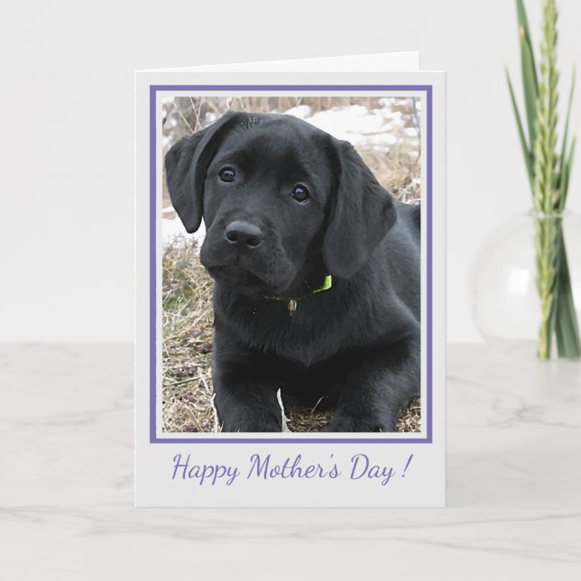 Happy Mother's Day Black Labrador - Cute Puppy Dog Thank You Card (Front)
