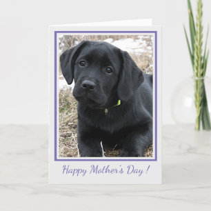 Happy Mother's Day Black Labrador - Cute Puppy Dog Thank You Card