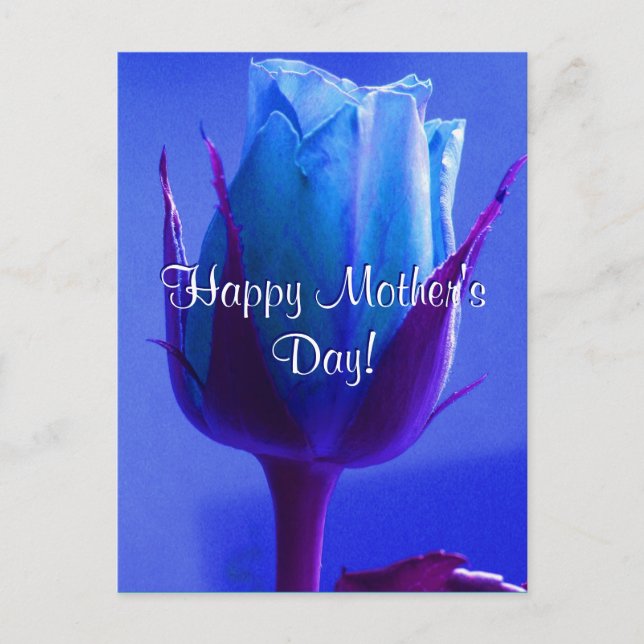 Happy Mother's Day Blue Rose Postcard (Front)