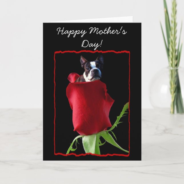 Happy Mother's Day Boston Terrier Greeting Card (Front)
