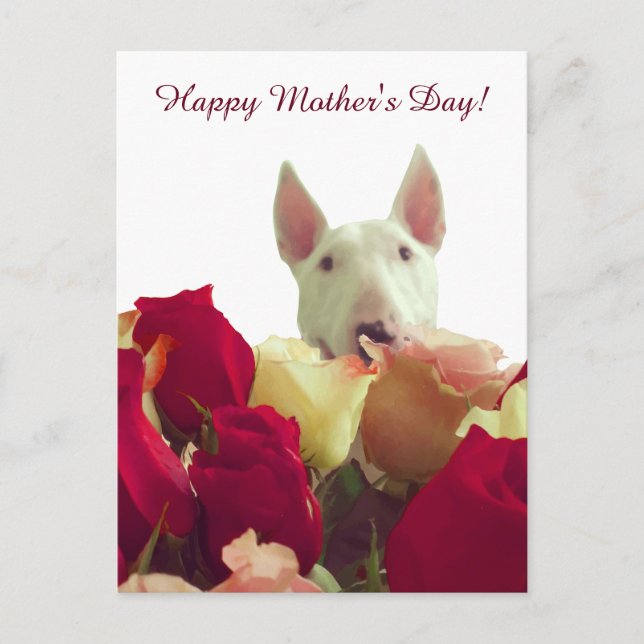 Happy Mother's Day! Bull terrier with roses Postcard (Front)