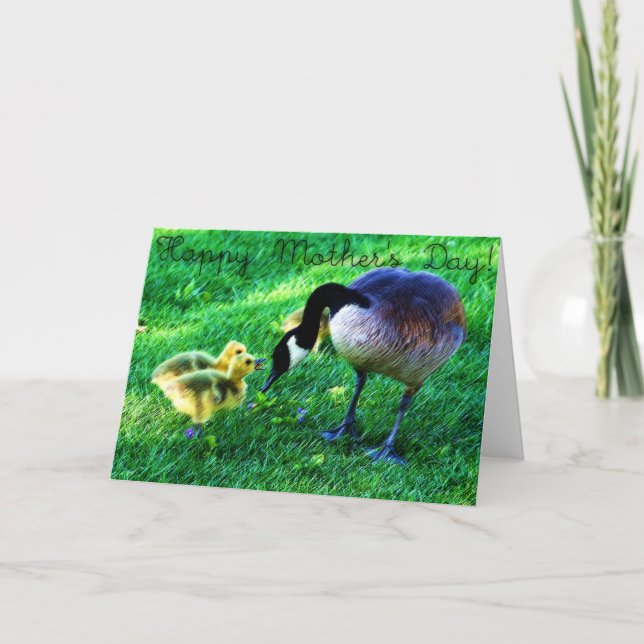 Happy Mother's Day: Canada Goose and Chicks Card (Front)