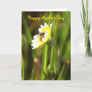 Happy Mother's Day Card